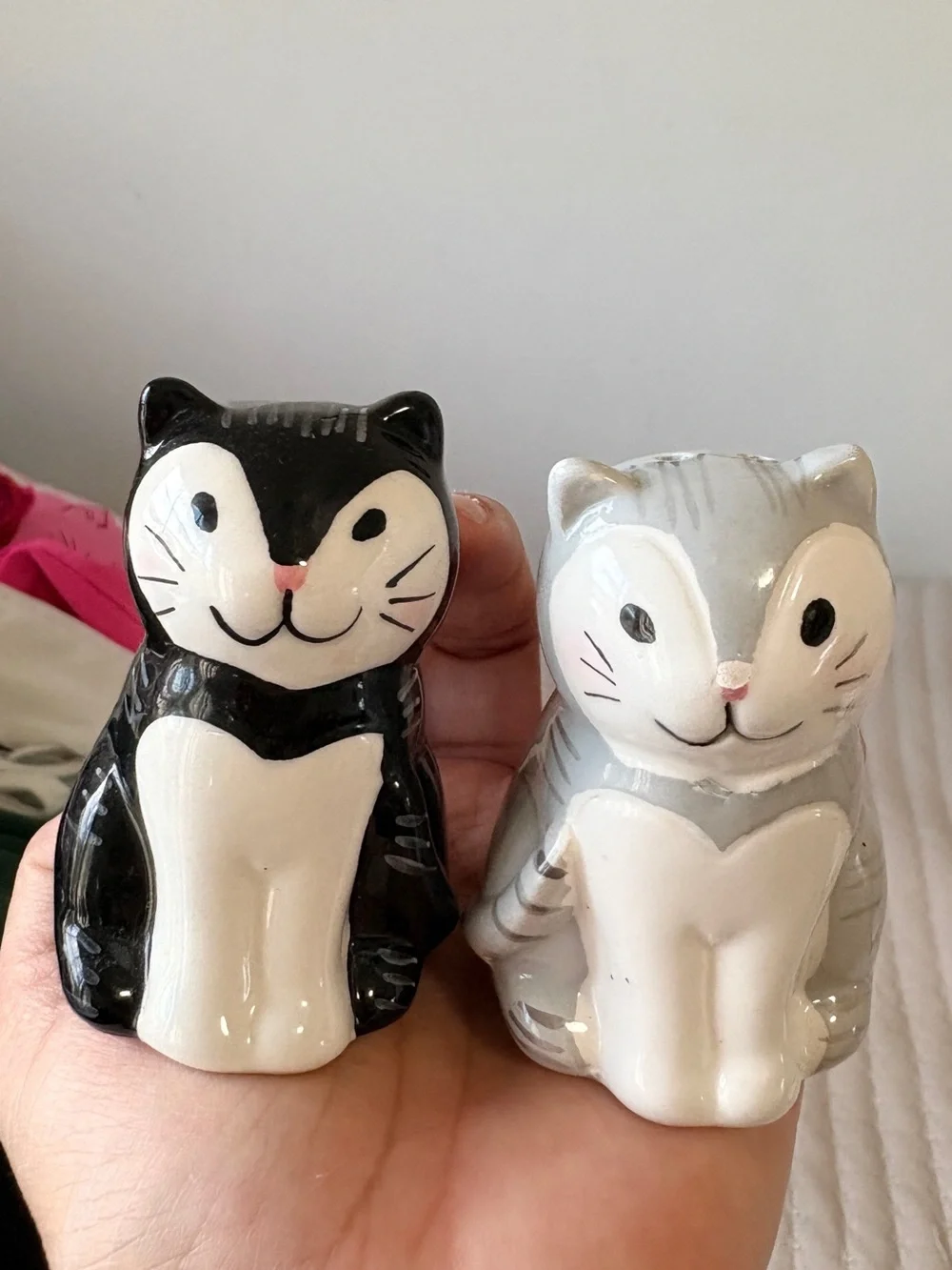 Ceramic Cat Salt and Pepper Shakers Set - Black Tuxedo Grey Tabby Kitty Decor